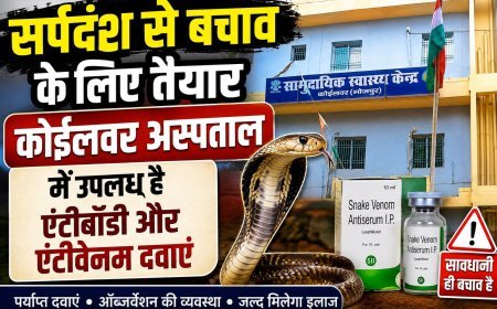 कोईलवर सीएचसी में सर्पदंश मरीजों के लिए पर्याप्त एंटीबॉडी दवाएं उपलब्ध