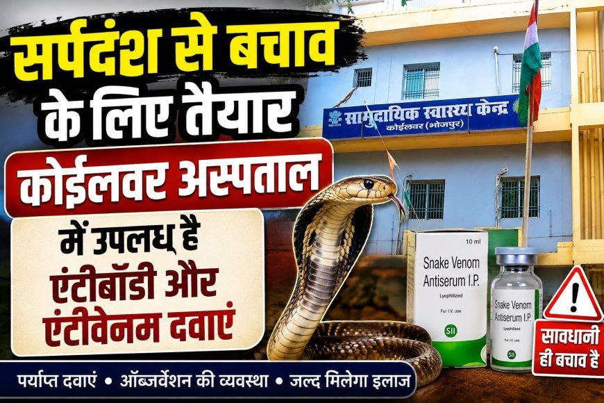 कोईलवर सीएचसी में सर्पदंश मरीजों के लिए पर्याप्त एंटीबॉडी दवाएं उपलब्ध