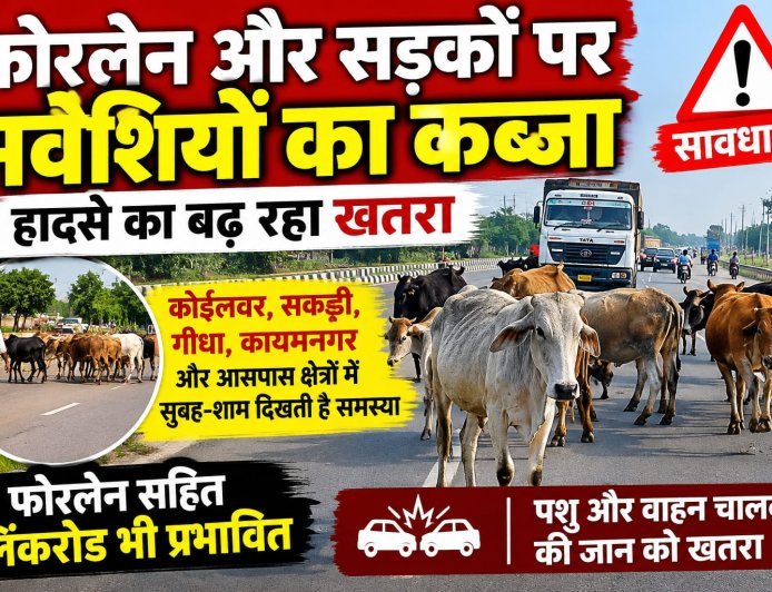 फोरलेन और सड़कों पर मवेशियों का कब्जा, हादसे का बढ़ रहा खतरा!